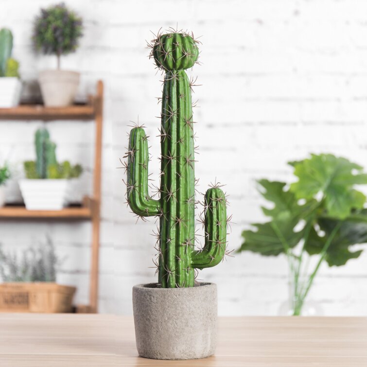 17.1'' Faux Cactus Succulent in Cement Pot